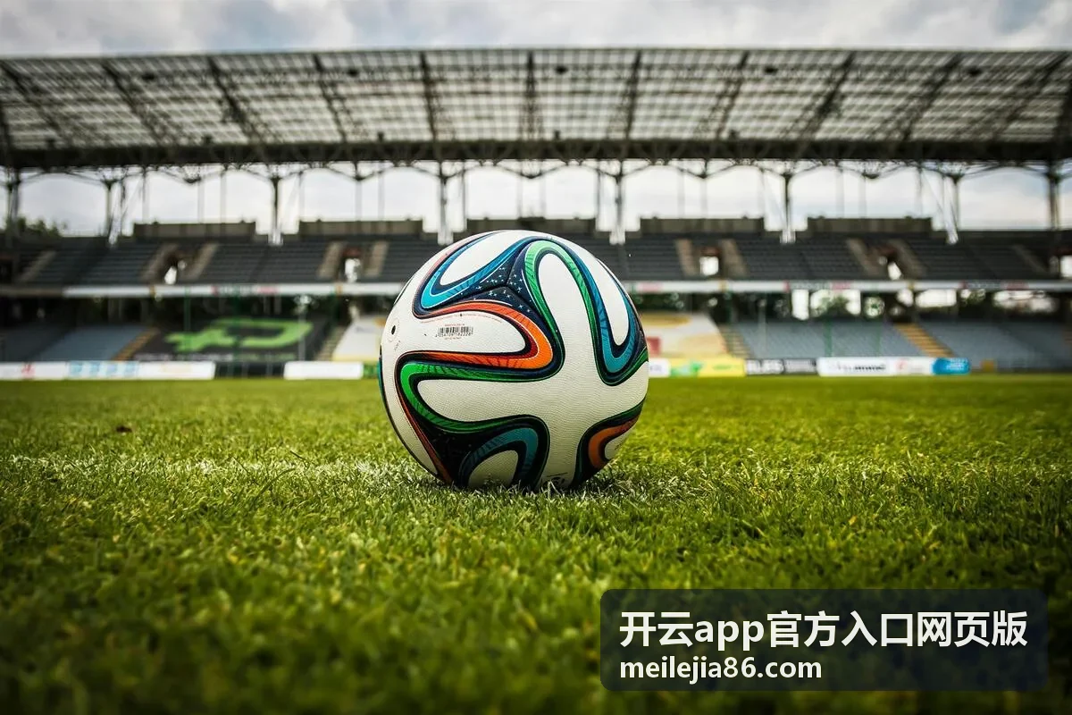开云app官方入口网页版提醒与设置项